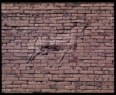 Dettaglio di un toro, rilievo della Porta di Ishtar, 580 a.C. da Babylonian