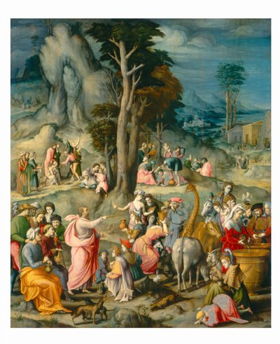 La raccolta della manna da Bacchiacca