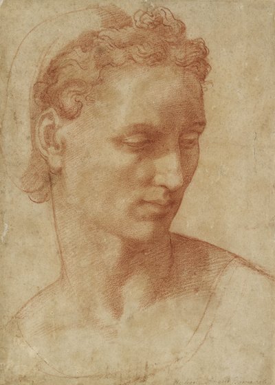Testa di una donna da Baccio Bandinelli