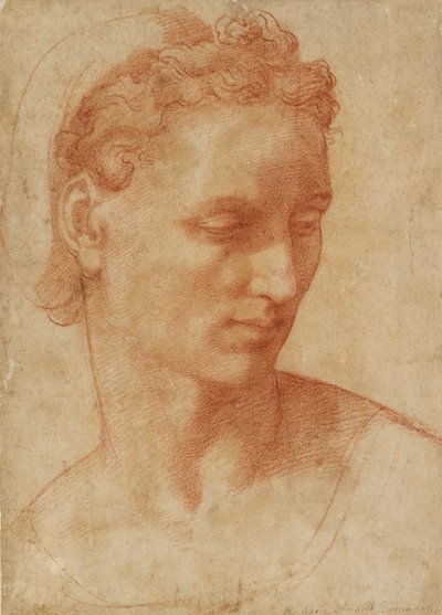 Testa di una donna, inizio XVI secolo da Baccio Bandinelli