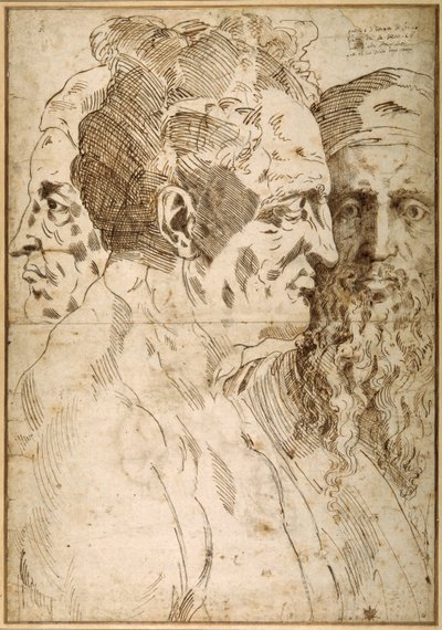 Tre teste maschili giustapposte da Baccio Bandinelli