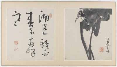 Pagine da un album di fiori, uccelli, insetti e pesci, Dinastia Qing, 1688-89 da Bada Shanren