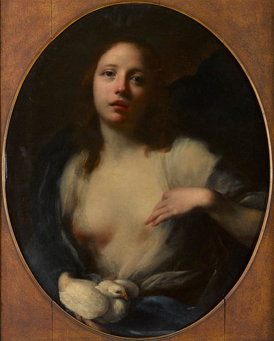 Dipinto di una giovane ragazza con colomba bianca da Baldassare (1611 89) Franceschini