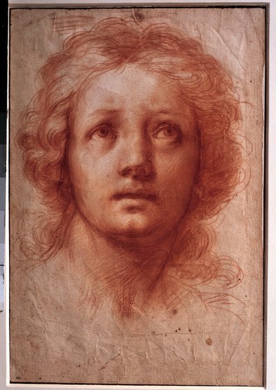Studio della testa di una donna, lo sguardo fisso rivolto verso l