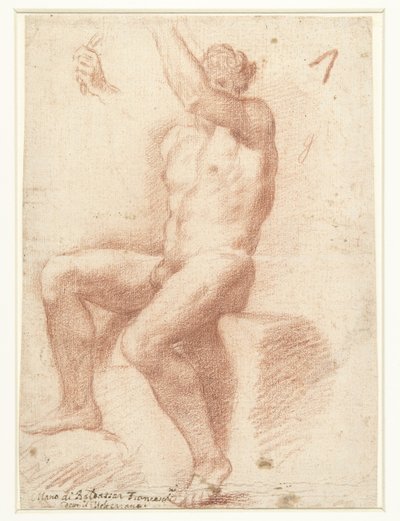 Studio di un modello maschile nudo da Baldassare Franceschini