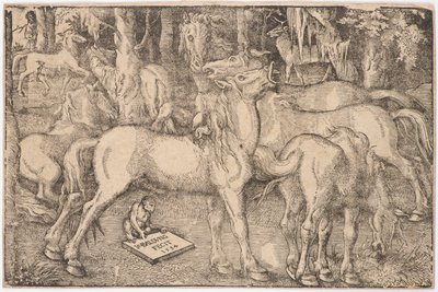 Gruppo di sette cavalli da Baldung