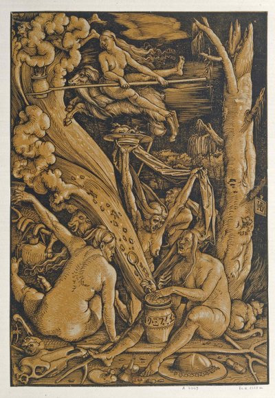 Streghe da Baldung