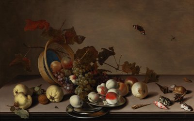 Natura morta con frutta, cesto di vimini, cozze e farfalla, prima metà del XVII secolo da Balthasar van der Ast