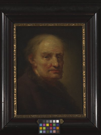 Testa di un vecchio da Balthasar Denner
