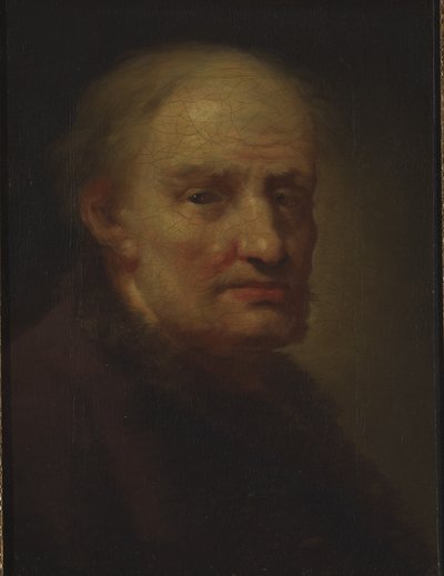 Testa di un vecchio da Balthasar Denner