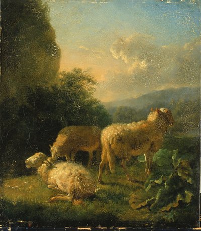 Pecora da Balthasar Paul Ommeganck