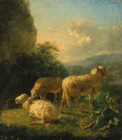 Pecore, fine XVIII-inizio XIX secolo da Balthasar Paul Ommeganck