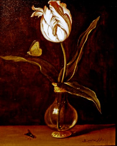 Un singolo tulipano in un vaso da Balthasar van der Ast