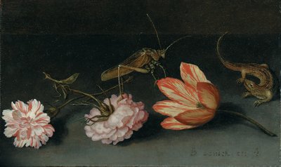 Garofani, un tulipano pappagallo, una cavalletta e una lucertola su un cornicione da Balthasar van der Ast