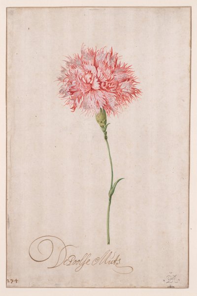 Il cappello polacco da Balthasar van der Ast