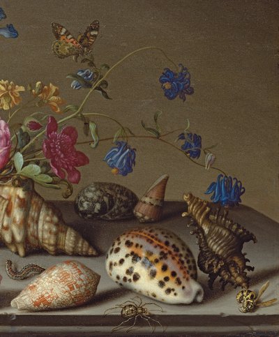 Fiori, conchiglie e insetti su un ripiano di pietra da Balthasar van der Ast