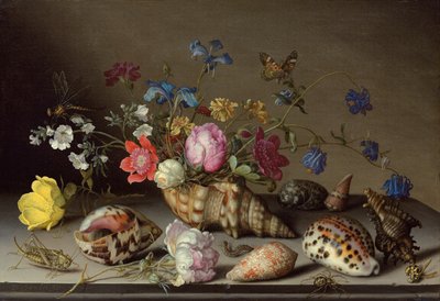 Fiori, conchiglie e insetti su un ripiano di pietra da Balthasar van der Ast