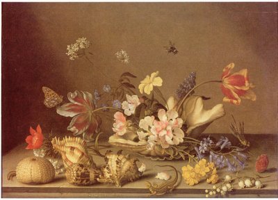 Natura morta di fiori e conchiglie da Balthasar van der Ast