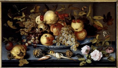 Natura morta di frutta, fiori, conchiglie e insetti da Balthasar van der Ast