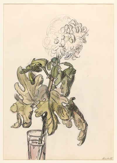 Crisantemo in fiore in un vasetto da Barbara Elisabeth van Houten
