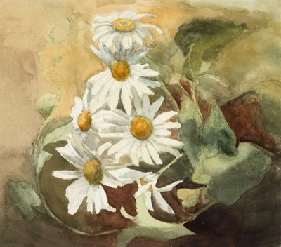 Margherite da Barbara Leigh Smith Bodichon