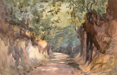 Ingresso a Scalands Gate da Barbara Leigh Smith Bodichon
