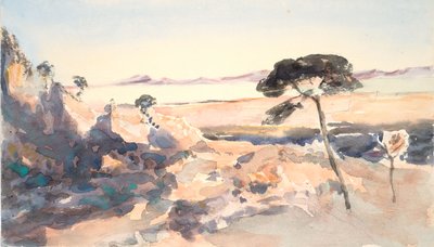 Paesaggio: Albero con montagne rosa da Barbara Leigh Smith Bodichon