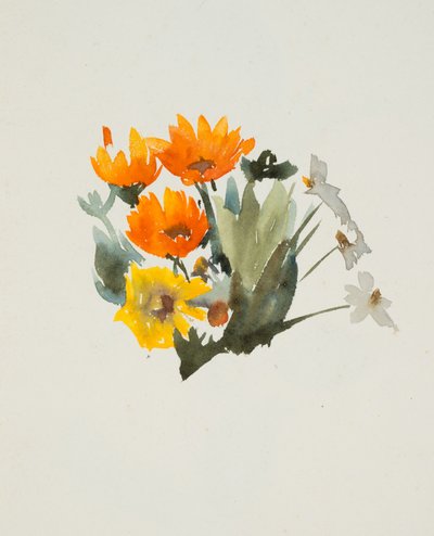 Fiori arancioni da Barbara Leigh Smith Bodichon
