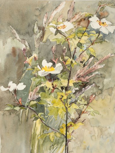 Fiori selvatici da Barbara Leigh Smith Bodichon