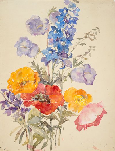 Fiori gialli, rossi e blu da Barbara Leigh Smith Bodichon