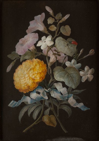 Serie di quattro nature morte con farfalle da Barbara Regina Dietzsch