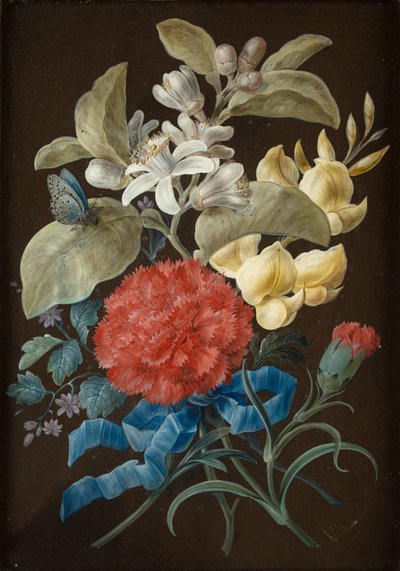 Set di quattro nature morte con farfalle da Barbara Regina Dietzsch