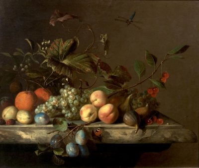 Natura Morta con Libellula, 1692 da Barend or Bernardus van der Meer