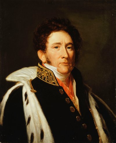 Ritratto di Louis-Marie-Joseph, Conte di Brigode, Pair de France da Baron Antoine Jean Gros