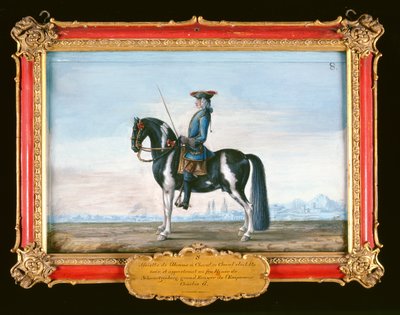 No. 8 Un cavallo pezzato e cavaliere, dalla Scuola di Equitazione Spagnola, il cavallo appartenente al defunto Principe di Schwartzenberg, scudiero dell