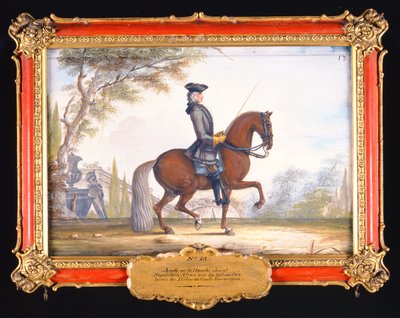 No. 13 Passi di dressage eseguiti da un cavallo napoletano della Scuola di Equitazione Spagnola chiamato Alzan da Baron Reis Eisenberg