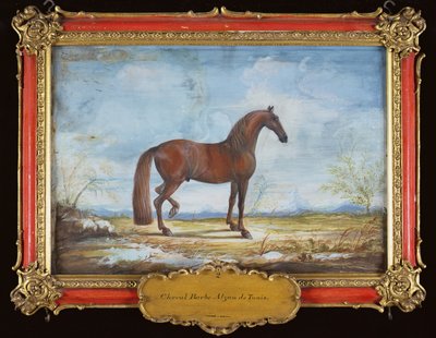 No. 2 Alzan de Tunis, un cavallo berbero della Scuola di Equitazione Spagnola da Baron Reis Eisenberg