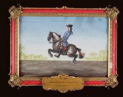 No. 49 Un cavallo della Scuola di Equitazione Spagnola eseguendo un movimento di dressage chiamato Ballotade da Baron Reis Eisenberg