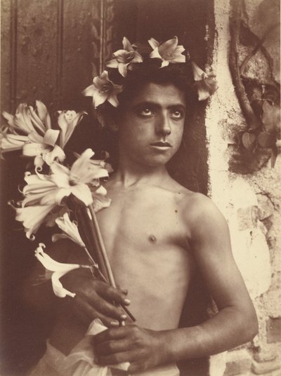 [Ragazzo con i lillà] da Baron Wilhelm von Gloeden