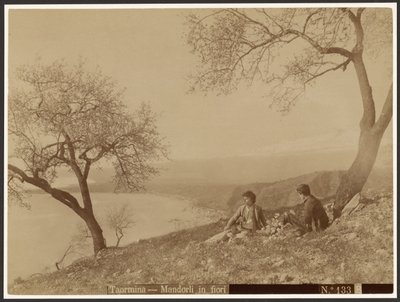 Mandorli in fiore, Taormina da Baron Wilhelm von Gloeden