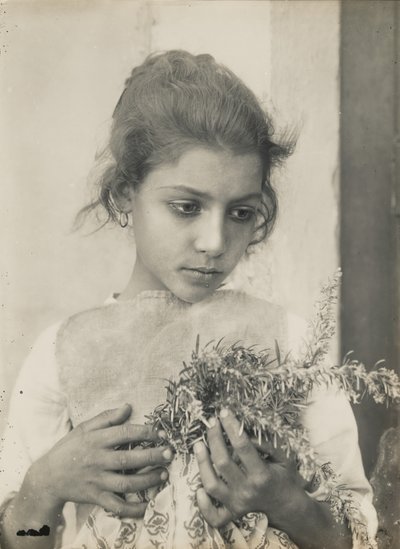[Ragazza con rosmarino] da Baron Wilhelm von Gloeden