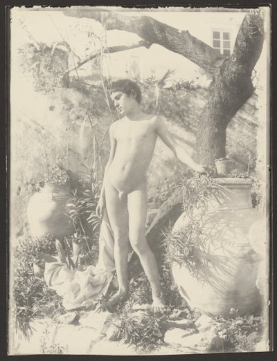 [Giovane nudo in giardino] da Baron Wilhelm von Gloeden