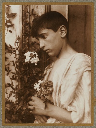 Ragazzo siciliano da Baron Wilhelm von Gloeden