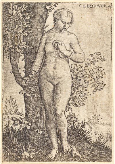 Cleopatra da Barthel Beham