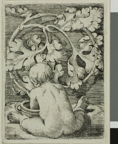 Bambino nudo, visto da dietro seduto davanti a un vaso da Barthel Beham