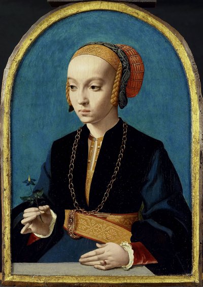 Ritratto di Elisabeth Bellinghausen (c.1520- dopo il 1570) da Bartholomäus Bruyn (I)