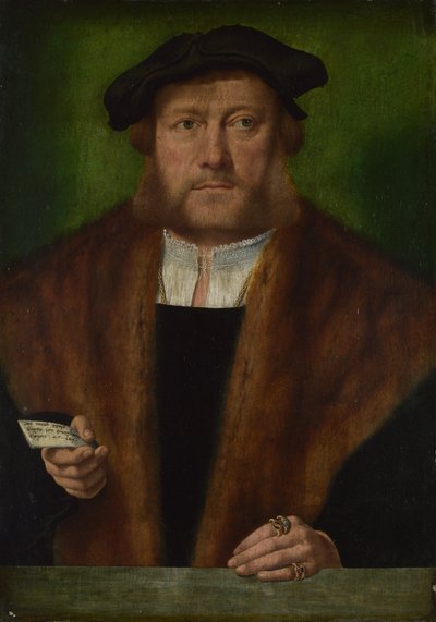 Ritratto di un uomo, ca 1533-1534 da Bartholomaeus Bruyn
