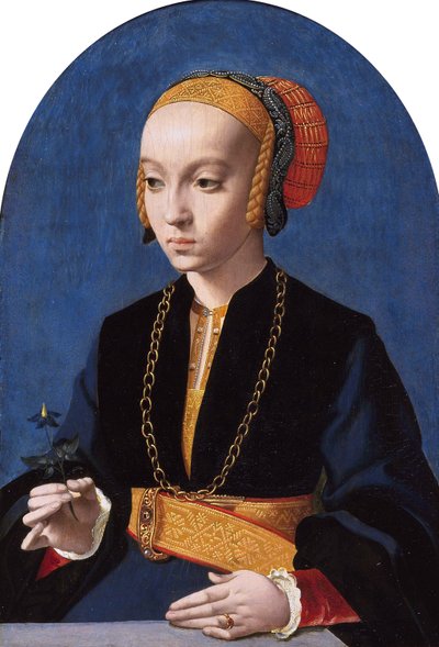 Ritratto di Elisabetta Bellinghausen (1520 ca. - 1570 ca.) da Bartholomaeus Bruyn the Elder