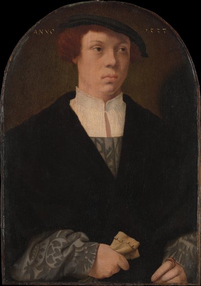 Ritratto di un uomo, 1533 da Bartholomaeus Bruyn the Elder