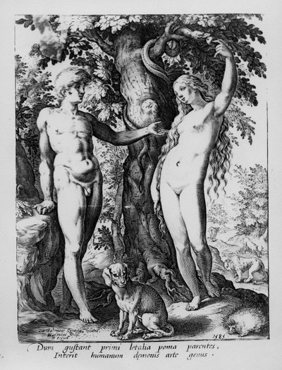 Adamo ed Eva, inciso da Hendrik Goltzius, 1585 da Bartholomaeus Spranger